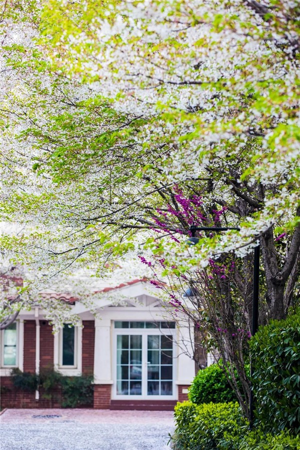 1585876750134803.jpg 洛陽最美的春天竟藏在這里4.jpg